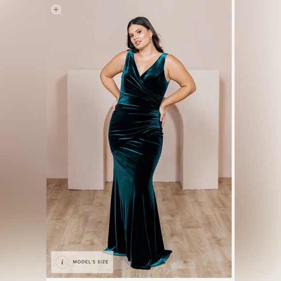 NWT Revelry Dawson Terra Cotta Velvet Dress - Bridesmaid or MoB - Picture 3 of 13